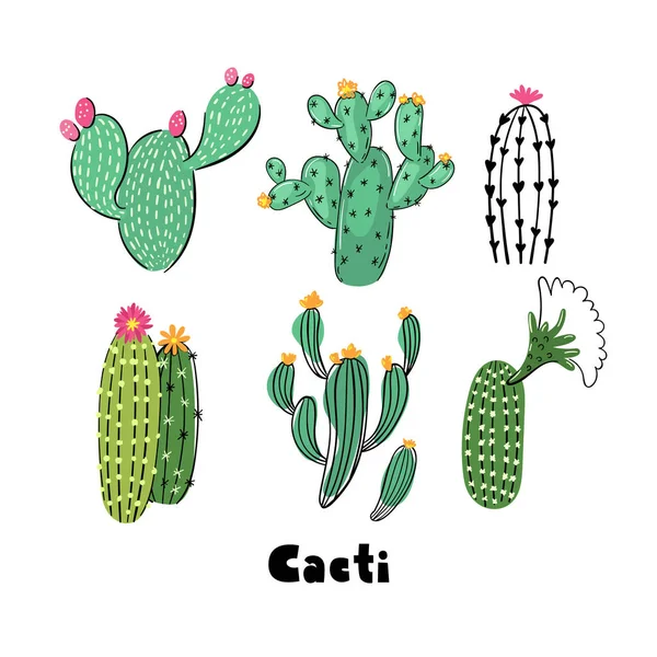 Woestijn Cactus Print Ontwerp Met Hand Getekende Illustratie — Stockvector