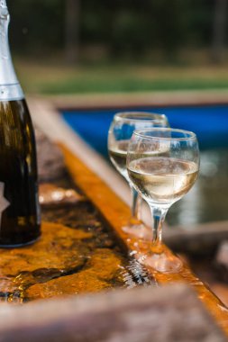 Aşk, romantizm, tatil, kutlama kavramı. Şişe ve bardak yaz orman şelale tarafından sunset Bulvarında soğutulmuş şampanya.