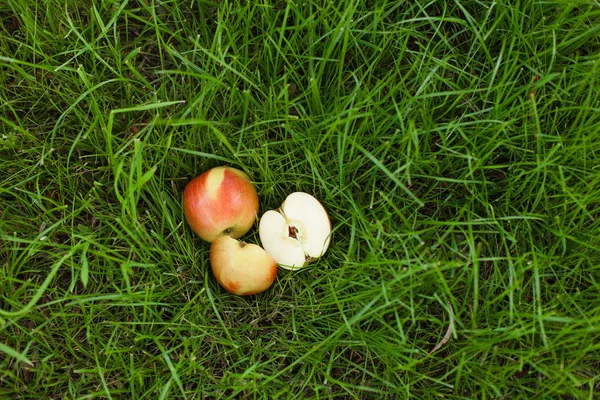 Çim üzerinde yalan olgun sarı kırmızı elma. Onlardan biri dilimlenmiş. Arka kapatmak
