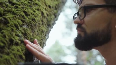 Gezgin ağaç görünüyor ve kalın moss ile gövde dokunur.