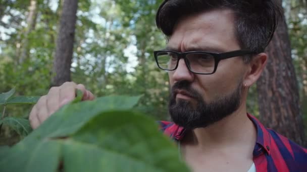 Entusiastisk man med en tablett och glasögon, ensam i skogen — Stockvideo