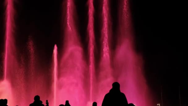 Silhouet van een menigte tegen de achtergrond van gekleurde water. — Stockvideo