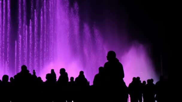 Une foule de touristes regardant un spectacle de fontaines dansantes magiques — Video