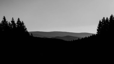 Tepeler ve orman Almanya Harz dağlarında tek renkli görüntü