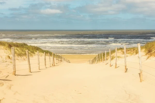 Camino Través Las Dunas Playa Zandvoort Países Bajos — Foto de Stock