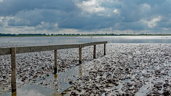 River Eider Low Tide City Toenning Schleswig Holstein Germany Europe — Stock Photo, Image