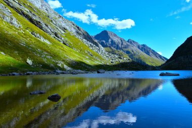 Yüksek Tauern dağlarındaki Dorfersee alp gölünün sularındaki yeşil çayır ve dağların yansıması, Tyrol, Avusturya
