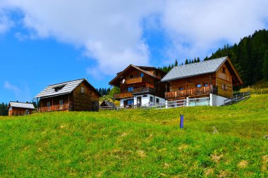 Kreuzeck grubundaki Emberger Alm otlağında ahşap binalar ve yeşil bir çayır, Carinthia, Avusturya