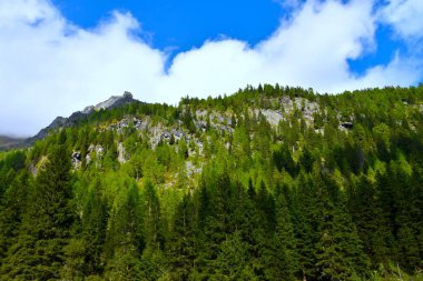Hintereggengraben 'in yukarısındaki dağlar Orta Doğu Alpleri' ndeki Yüksek Tauern grubu Carinthia, Avusturya kozalaklı ormanlarla ve gökyüzünde bulutlarla kaplı.