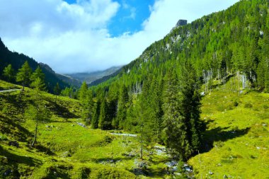 Reisseck grubunda gökyüzünde bulutlar olan Hintereggengraben vadisinde yeşil çayır ve Orta Doğu Alplerinde Ankogel grubu, Carinthia, Avusturya