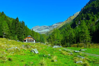 Reisseck 'teki Hintereggengraben Alp Vadisi' nde bir çayırı ve kozalaklı bir dağ evi ve Orta Doğu Alpleri 'ndeki Ankogel Yüksek Tauern grubu, Carinthia, Avusturya