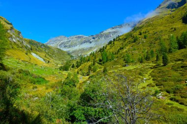 Reisseck grubundaki Hintereggengraben vadisinin tepesindeki Hohe Leier dağı zirvesi ve Orta Doğu Alplerindeki Ankogel grubu, Carinthia, Avusturya