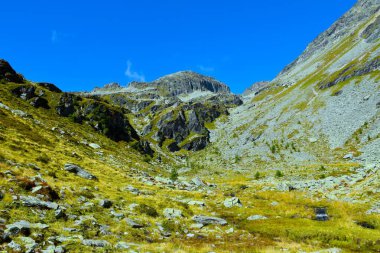 Reisseck grubunda Kleine Leier dağı tepesinde sarı kuru otlar ve kayalarla dağlık bir çayırlık alan ve Orta Doğu Alplerinde Ankogel grubu, Carinthia, Avusturya