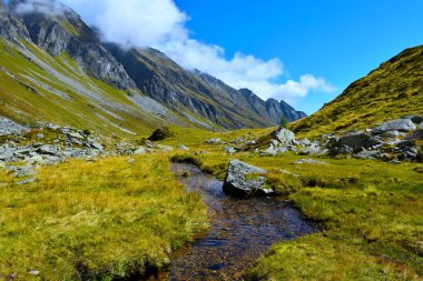Reisseck grubundaki Hintereggengraben vadisinde bir dağ çayırından akan dere ve Orta Doğu Alplerindeki Ankogel grubu, Carinthia, Avusturya