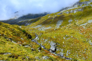 Bulut kaplı dağlar ve Reisseck grubundaki bir çayır ve Orta Doğu Alplerindeki Ankogel grubu Carinthia, Avusturya