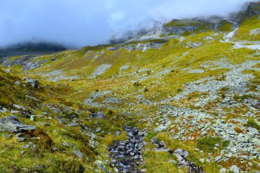 Bulut kaplı dağlar ve Reisseck grubundaki Hintereggengraben Alp Vadisi 'nde kayalarla dolu bir çayırdan akan bir su körüğü ve Orta Doğu Alplerindeki Ankogel Yüksek Tauern grubu, Carinthia, Avusturya