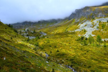 Reisseck grubundaki Hintereggengraben Alp Vadisi 'nde çimen ve bulutlarla kaplı dağ manzarası ve Orta Doğu Alplerindeki Ankogel Yüksek Tauern grubu, Carinthia, Avusturya