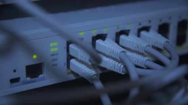 Viele Kabel moderner Server-Hardware — Stockvideo