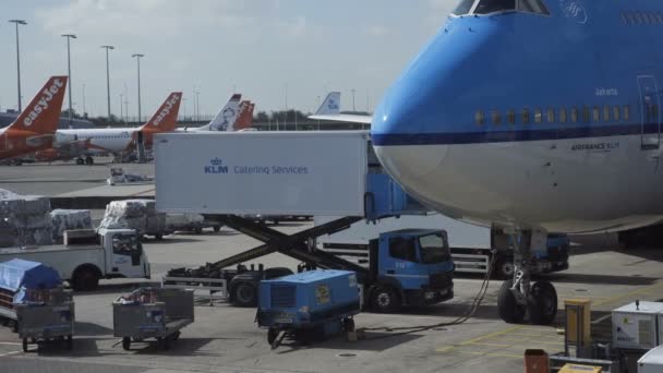 Carga del avión antes del vuelo — Vídeos de Stock