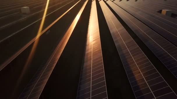 Uma fazenda de energia solar industrial ao pôr do sol — Vídeo de Stock