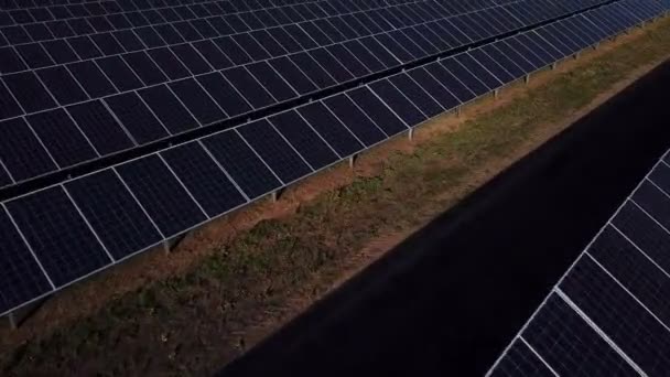 Vue aérienne d'un champ énorme avec piles solaires — Video