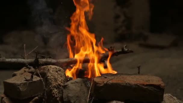 在篝火中燃烧木材的特写镜头 — 图库视频影像