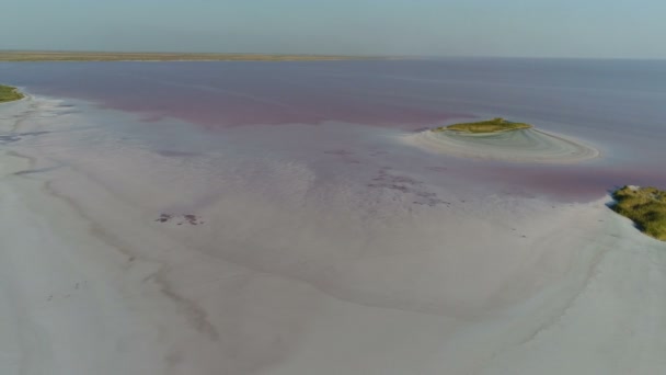 Drone widok soli morskich ziemi — Wideo stockowe