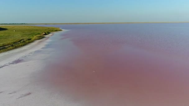 Вид беспилотника на морскую сушу — стоковое видео