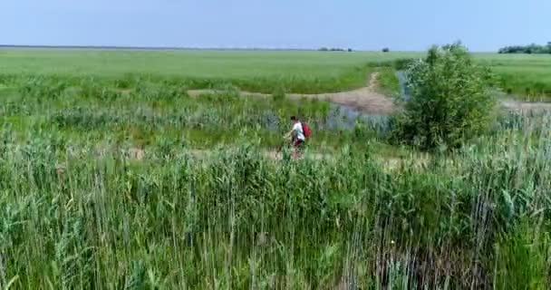 Luchtfoto van persoon op fiets rijden onder plantages — Stockvideo