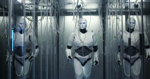Server di controllo robot umanoidi in un data center — Video Stock