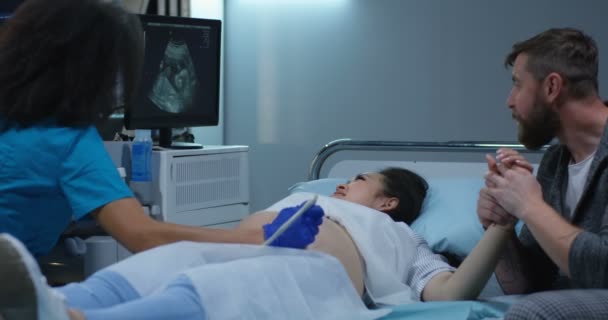 Doctor examining pregnant woman with ultrasound — Stock Video