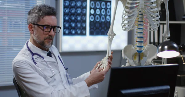 Médico masculino analizando modelo de esqueleto humano — Foto de Stock