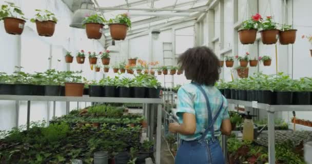 Jardinero femenino tomando fotos en invernadero — Vídeo de stock