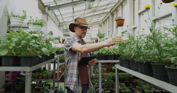 Manliga trädgårdsmästare ta bilder i Greenhouse — Stockvideo