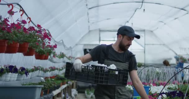 Homme prenant des fleurs dans une caisse — Video