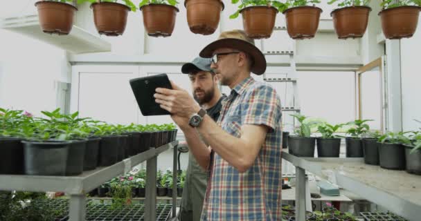 Садівник робить фотографії в теплиці — стокове відео