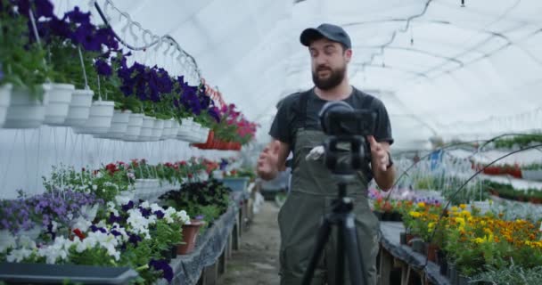 Pria tukang kebun menyajikan tanaman ke kamera — Stok Video