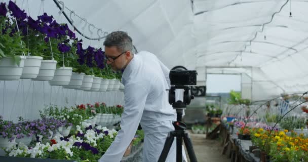 男性の庭師は、カメラに植物を提示 — ストック動画