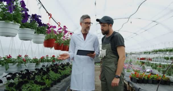 Jardineros caminando en invernadero — Vídeos de Stock