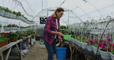 kadın bahçıvan sulama çiçekler