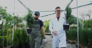 Thujas taşıyan bahçıvanlar