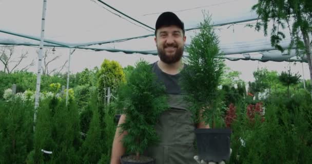 Jardinier masculin debout avec thujas en pot — Video