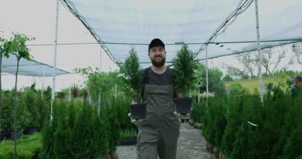 Manliga trädgårdsmästare ger Thujas till kvinna — Stockvideo