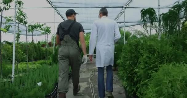 Jardineiros caminhando no jardim do berçário — Vídeo de Stock