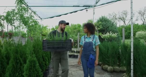 Trädgårdsmästare går i plantskolan trädgård — Stockvideo