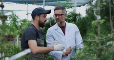 Bahçıvanlar çam ağacı nı inceliyor