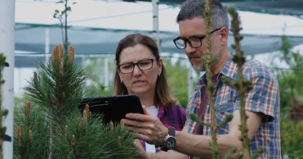 Dos jardineros usando tableta en el jardín del vivero — Vídeos de Stock