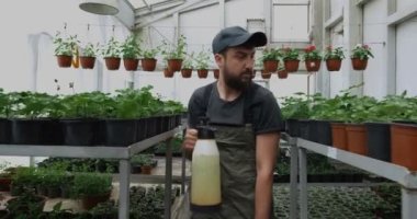 Saksı bitkileri arasında bahçıvan yürüyüşü