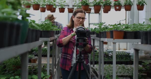 Jardinero presentando planta a cámara — Vídeo de stock