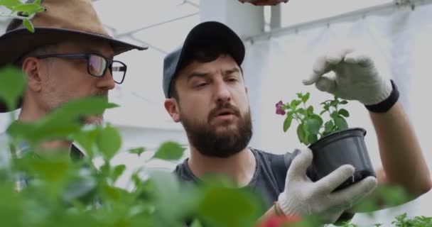 Jardineiros tirando foto de planta de panela — Vídeo de Stock